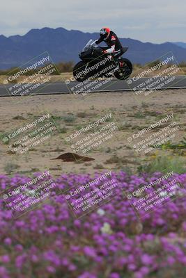 media/Jan-14-2023-SoCal Trackdays (Sat) [[497694156f]]/Turn 14 Exit Bloomig (145pm)/